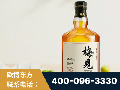 珠海-梅见青梅酒